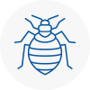 Bed Bug Extermination In Devon