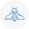 Bee Nest Removal Devon